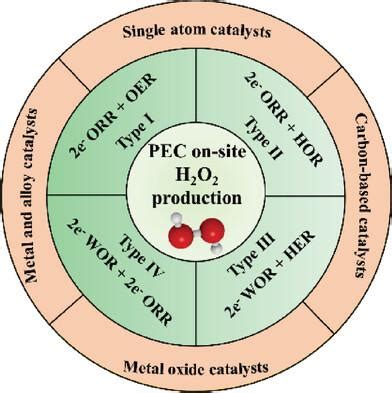 H2O2 Reactor 的图像结果