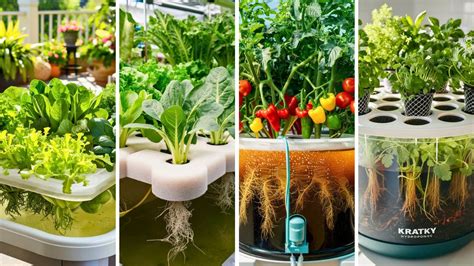 Hydroponic Systems DIY 的图像结果