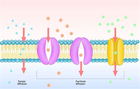 Simple Diffusion Examples 的图像结果