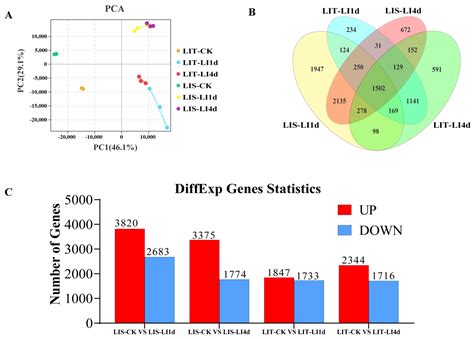Investigating the Mechanisms Underlying the Low Irradiance-Tolerance of ...
