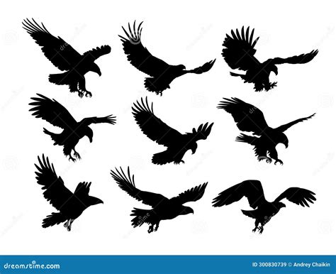 Set Silhouettes of Eagles in Flight. Stock Illustration - Illustration of prey, silhouette ...