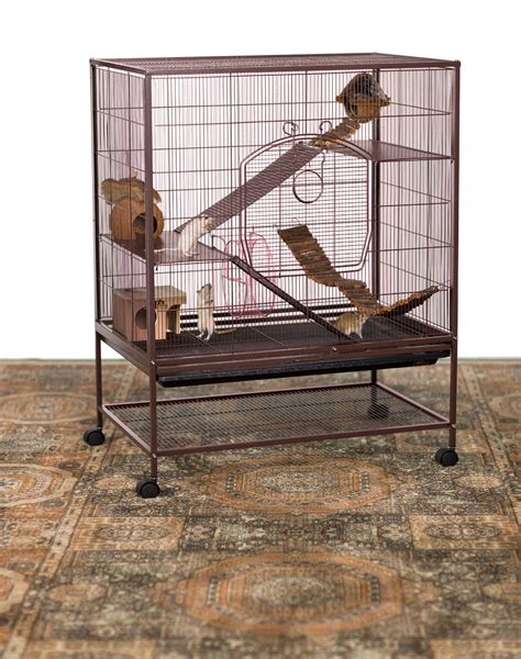 Pet Store For Rat Cage at Levi Skipper blog