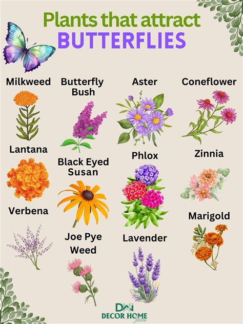 28 Best Butterfly Plants To Turn Your Garden Into A Butterfly Paradise ...