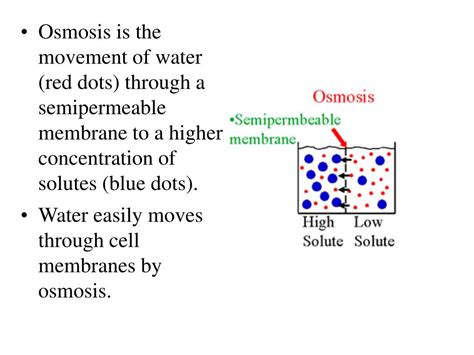 Diffusion 的图像结果
