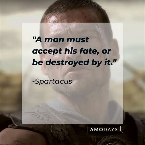 30 Spartacus Quotes: Revolutionize Your Mind with This Gladiator's Words