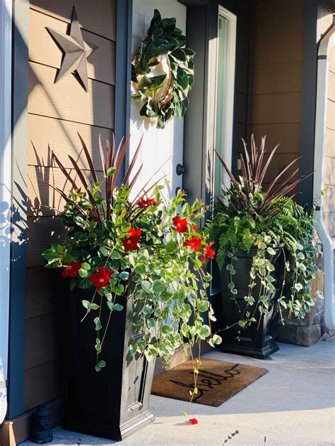 Best Plants For Front Door Planters at Rita Skelley blog