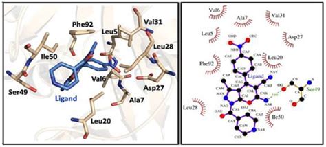 Recent Applications of the Multicomponent Synthesis for Bioactive ...