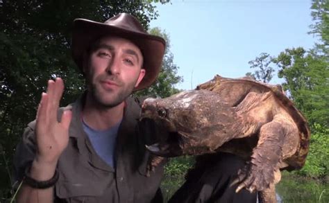 Image result for Man Getting Bit by Snapping Turtle