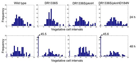 The Ser/Thr Kinase PknH Is Essential for Maintaining Heterocyst Pattern ...