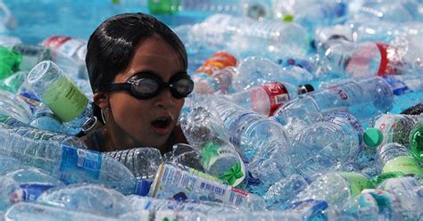 इन इज़राइलियों ने प्लास्टिक के विकल्प खोज लिए, क्या भारतीय उनके प्रयास ...