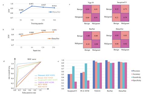 Clinically Applicable Pathological Diagnosis System for Cell Clumps in ...