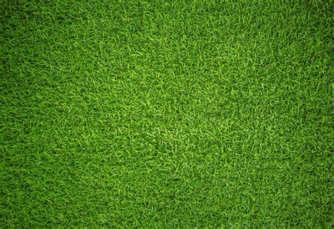 Custom Kids Room Wallpaper Online - Non-Toxic, VOC-free