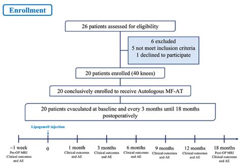 Intra-Articular Injection of Autologous Micro-Fragmented Adipose Tissue ...