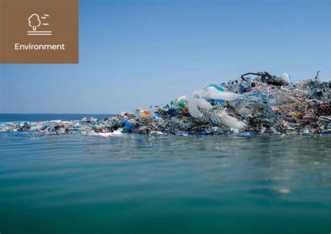Ocean In Japanese Trash