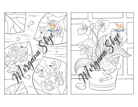 Cute Frogs Coloring Book: An Adult Coloring Book India | Ubuy