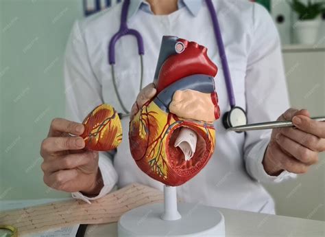 Image result for Cardiologist Explains