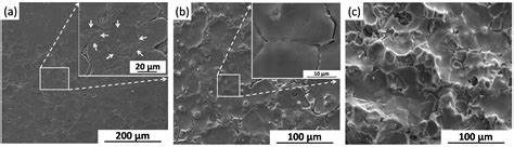 In Vitro Corrosion Study of Friction Stir Processed WE43 Magnesium ...