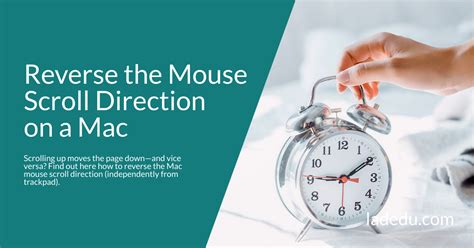 Image result for Reverse Mouse Scrolling