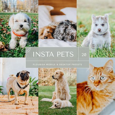 Insta Pets Lightroom Presets | Flourish Presets
