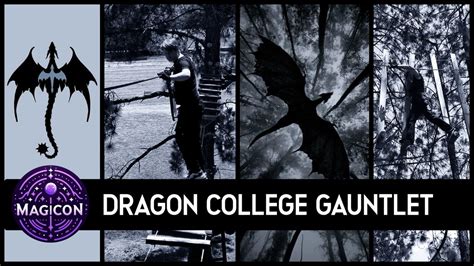 Dragon College Gauntlet, Acrobranch Casalinga, Muldersdrift, Roodepoort ...