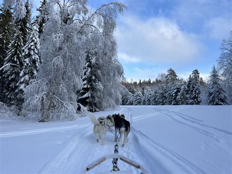 Where is Lapland? Understanding the region and Sápmi - Routes North