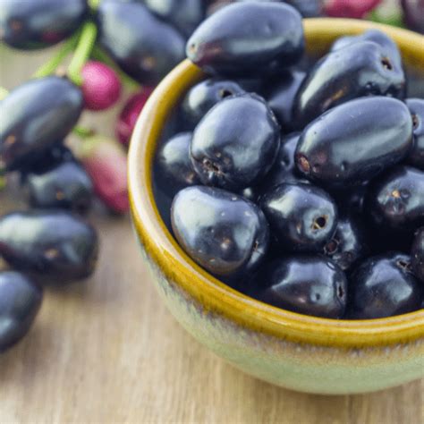 Image result for Java Plum Benefits