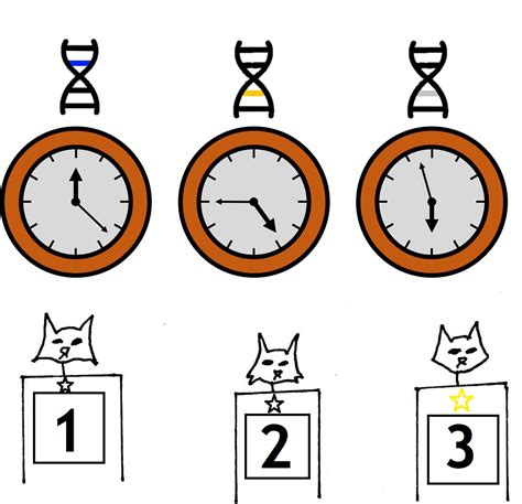 Evolutionary clocks out of sync – The G-cat