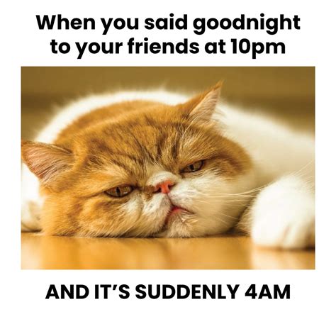 Image result for Programmer Problem No Sleep Meme