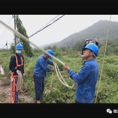 应对台风：抢修保供电_福山区_公司_马线