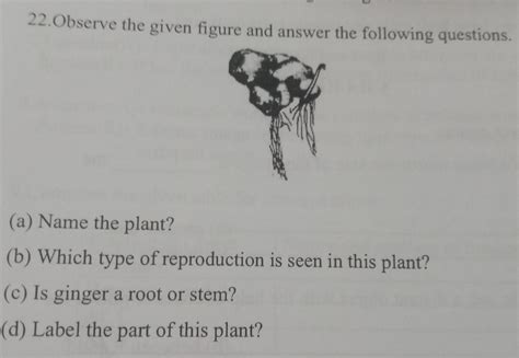 solve this question I must be would you like it - Brainly.in