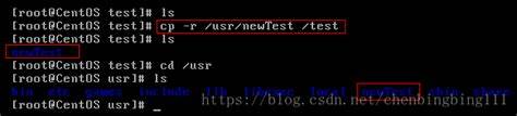 linux终端检测命令