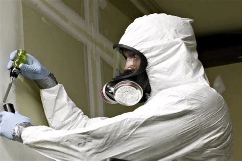 Mold Testing - LA Mold Testing