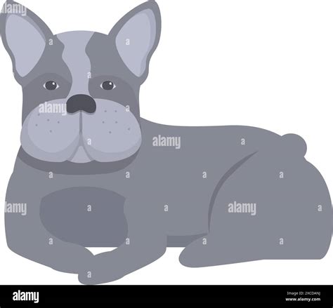 Gray french bulldog is lying down, enjoying a moment of tranquility ...