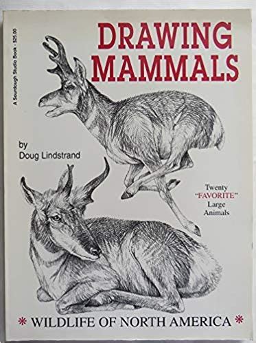Buy Drawing Mammals (A Sourdough Studio book) Book Online at Low Prices ...
