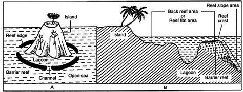 Coral reefs and their formation - Zoology Optional Notes for UPSC PDF ...