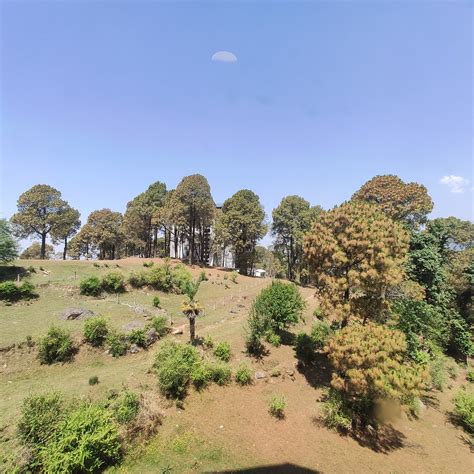 HOTEL SAHEB'S CASTLE MCLEODGANJ (McLeod Ganj, India - Himachal Pradesh ...