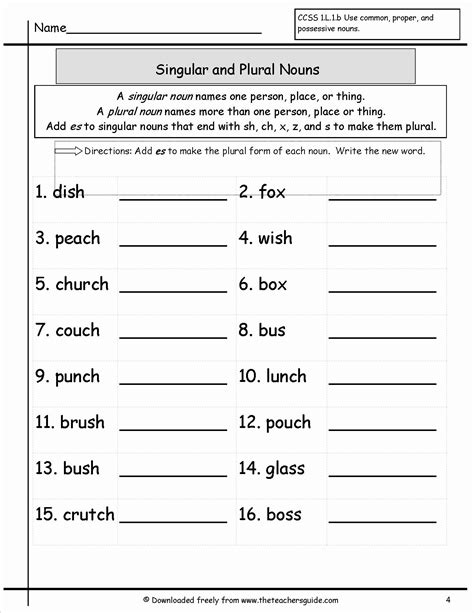 Plural And Singular Noun Worksheet Singular And Plural Nouns