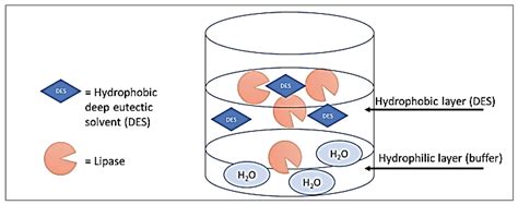Menthol and Fatty Acid-Based Hydrophobic Deep Eutectic Solvents as ...