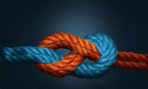 Gemini Cooperation announces two ocean network options