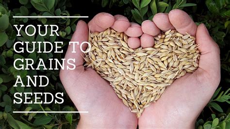 SVTC, Hyderabad - Order Online