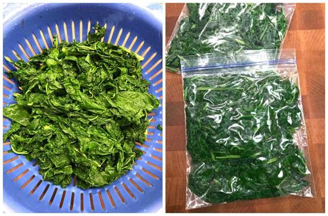 How to Freeze Kale - The Daring Gourmet