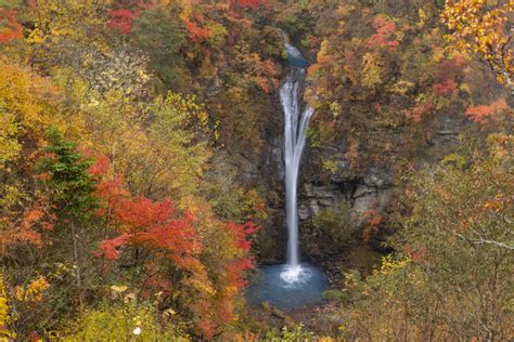 がございま キヤノン / CANON RF28-70mm F2L USM ディーライズPayPayモール店 - 通販 - PayPayモール として
