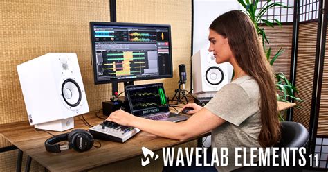 Image result for WaveLab 10 Meters