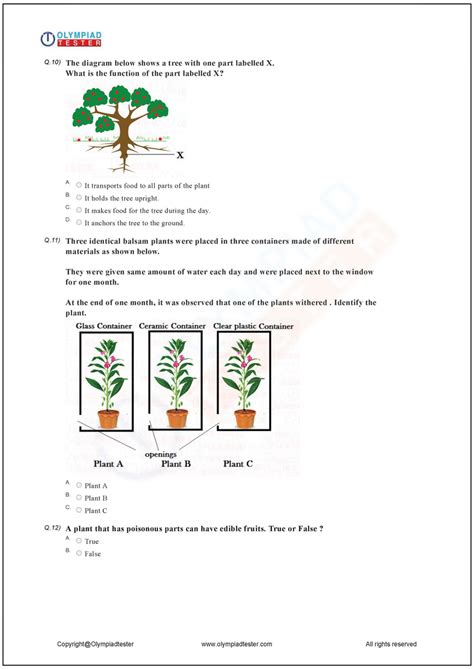 Image result for Class 2 Science Plant