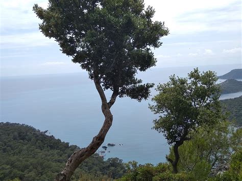 Kayakoy to Oludeniz Walking Trail - All You Need to Know BEFORE You Go