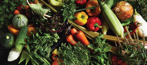 Chef Table Restaurant 的图像结果