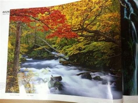 Customized Wallpapers - PVC Wall Panelling Manufacturer from Gurgaon