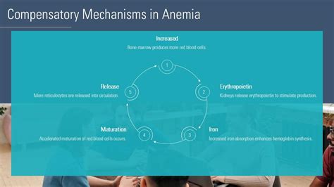 Image result for Compensatory Mechanism Textbook