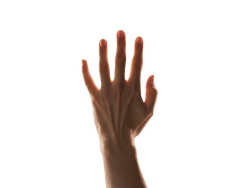 a hand reaching up to the sky on a transparent background 48028730 PNG