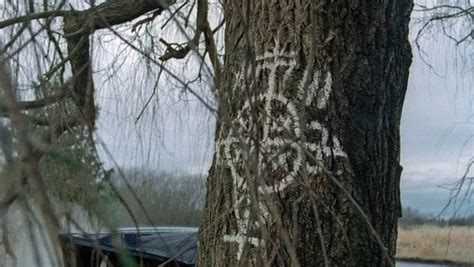 Image result for Minecraft X-Files